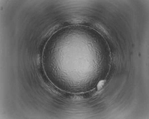 X0000068770549200604281241