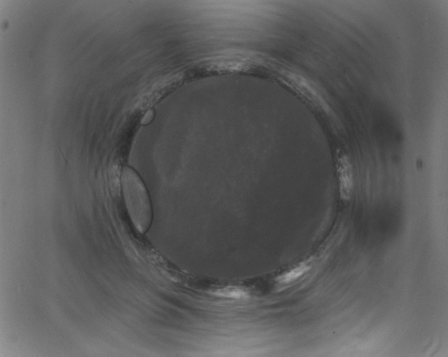 X0000068770551200604281241