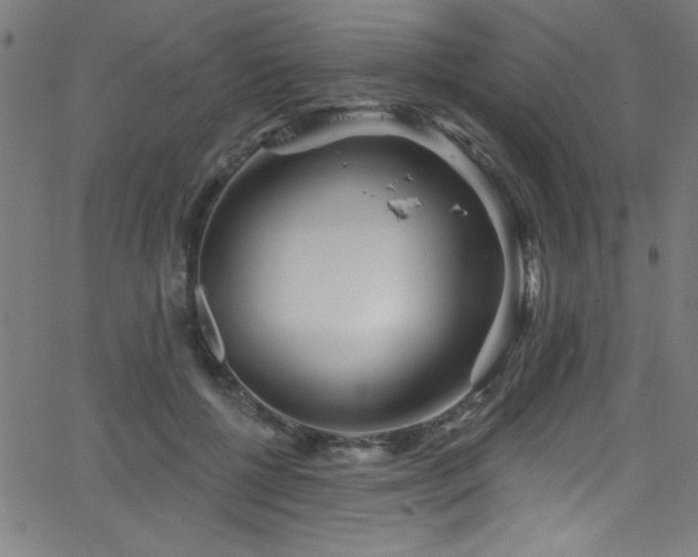 X0000068770552200604281241