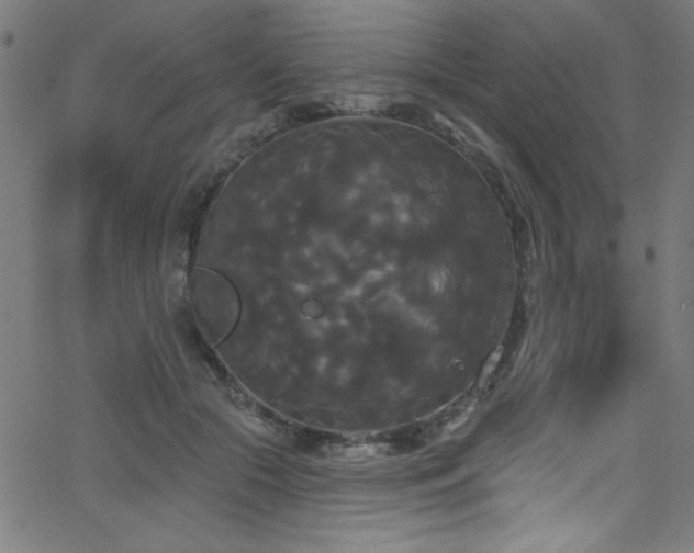 X0000068770553200604281241