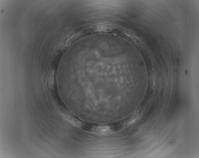 X0000068770554200604281241