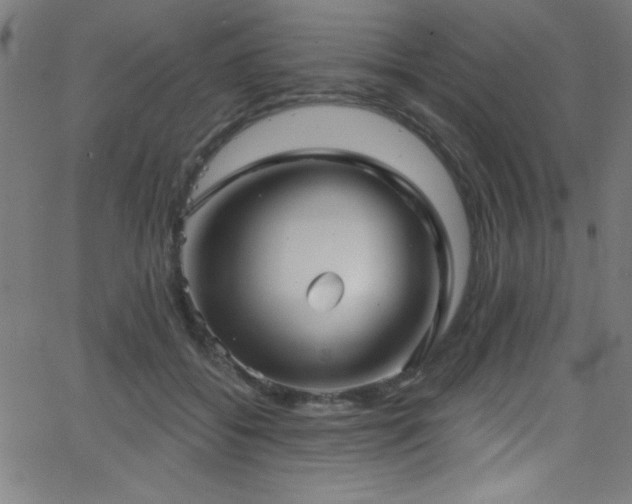 X0000068770556200604281241