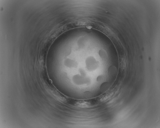 X0000068770557200604281241