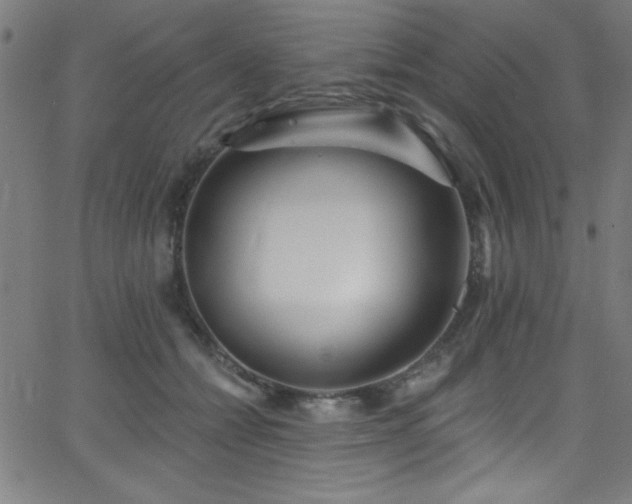 X0000068770558200604281241