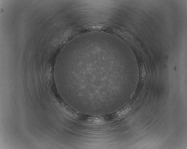 X0000068770559200604281241