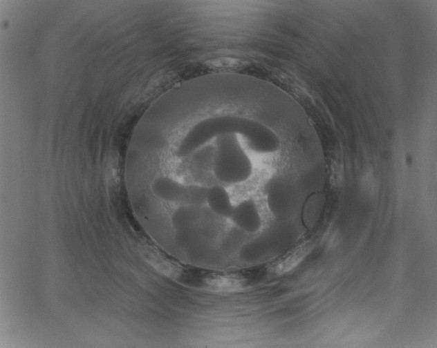 X0000068770561200604281241