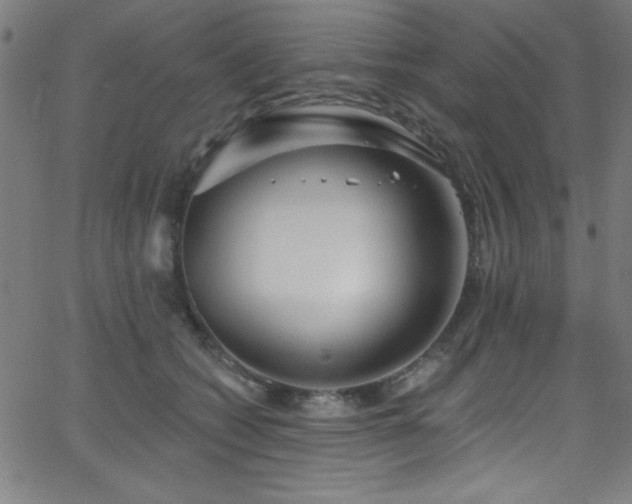 X0000068770562200604281241