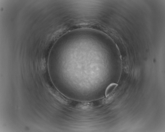 X0000068770563200604281241