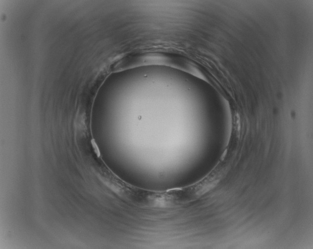 X0000068770564200604281241