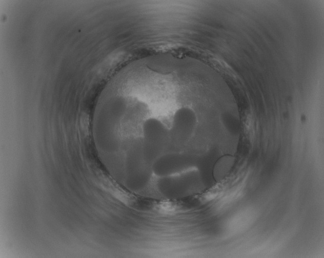 X0000068770565200604281241