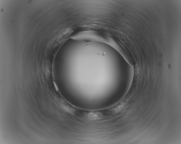 X0000068770566200604281241