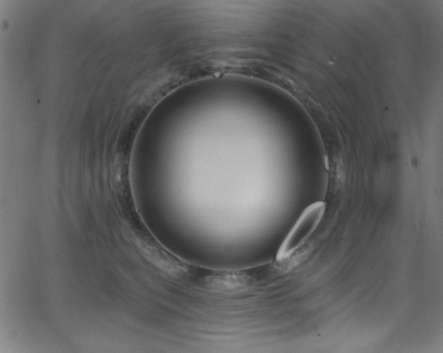 X0000068770567200604281241