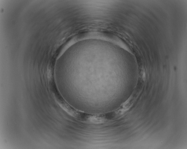 X0000068770568200604281241