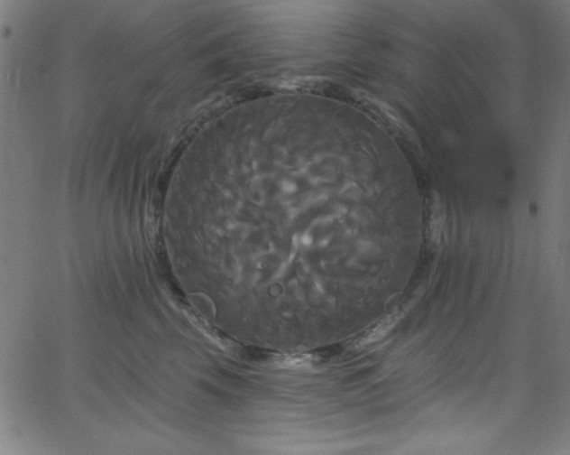 X0000068770569200604281241