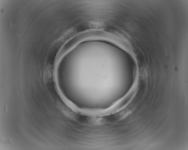 X0000068770570200604281241