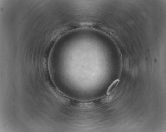 X0000068770571200604281241