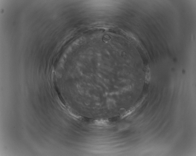 X0000068770573200604281241