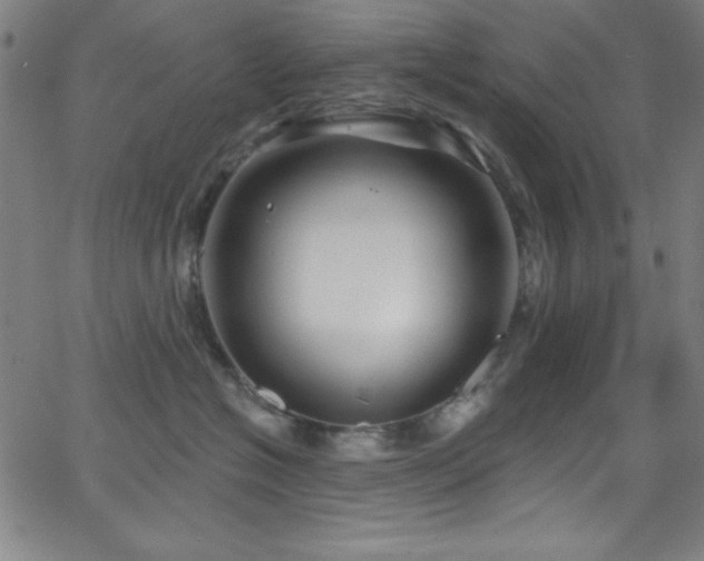 X0000068770574200604281241