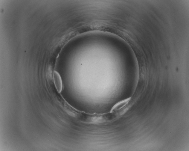 X0000068770575200604281241