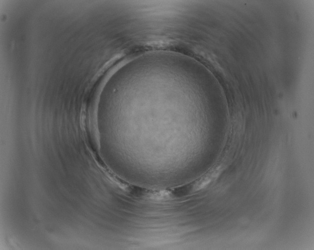 X0000068770576200604281241