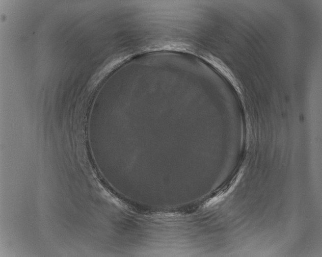 X0000068770577200604281241