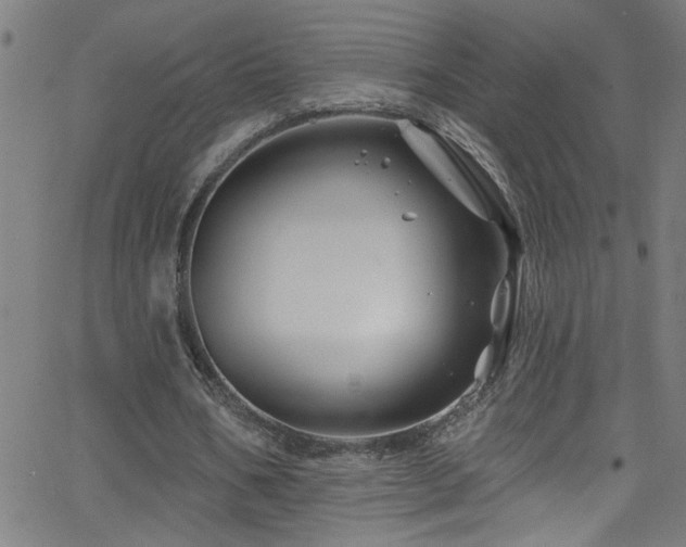 X0000068770578200604281241