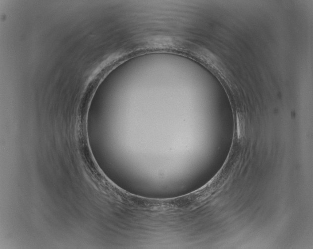 X0000068770579200604281241