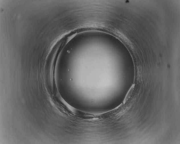 X0000068770580200604281241