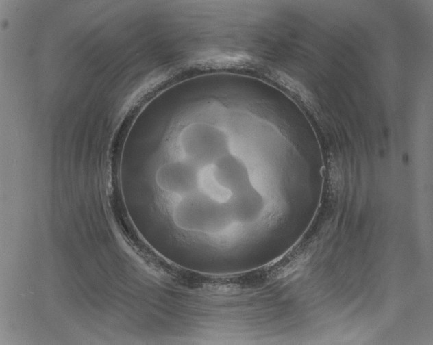 X0000068770582200604281240