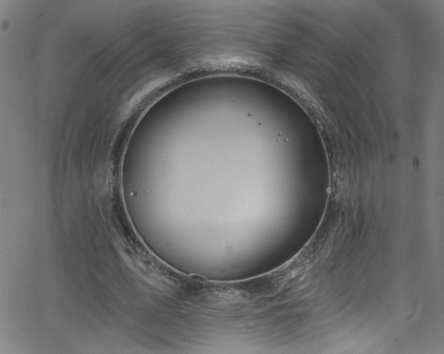 X0000068770583200604281240