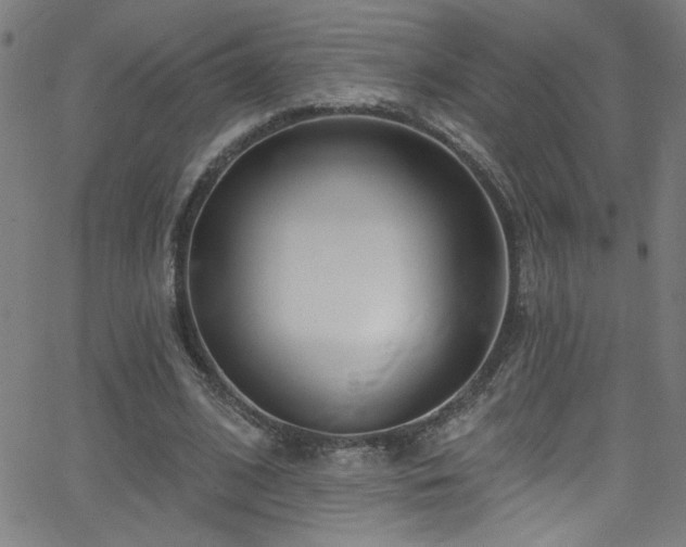 X0000068770584200604281240