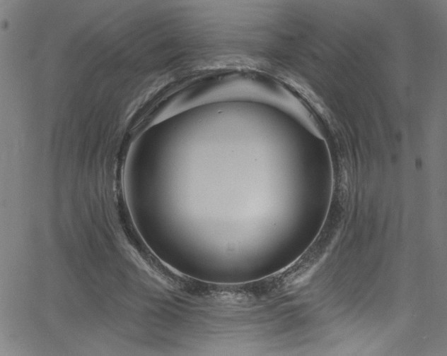 X0000068770585200604281240