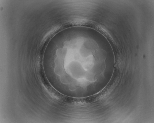 X0000068770586200604281240