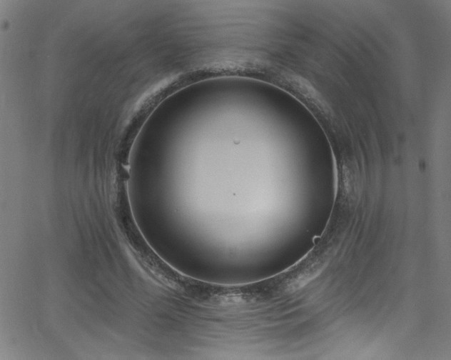 X0000068770588200604281240