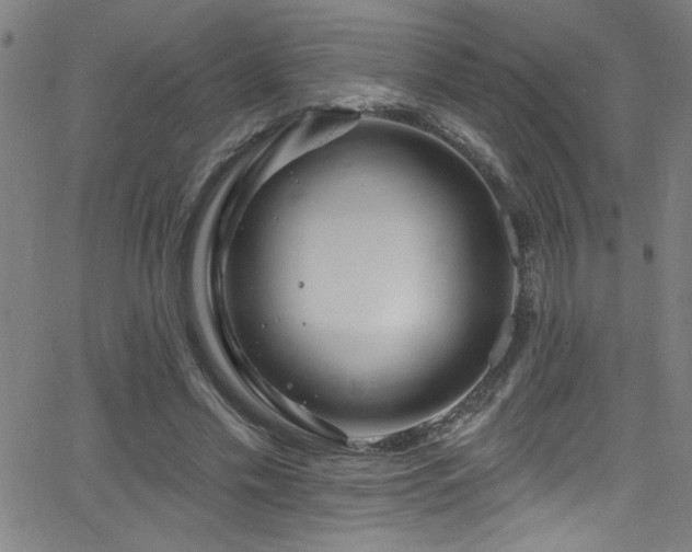 X0000068770589200604281240