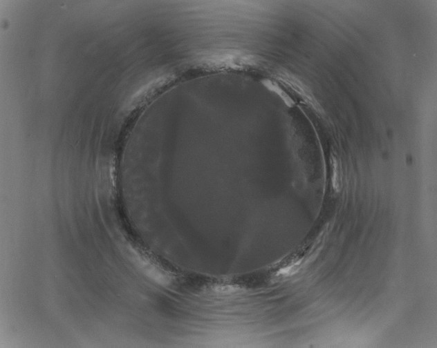 X0000068770590200604281240