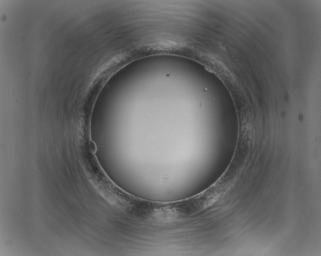 X0000068770591200604281240