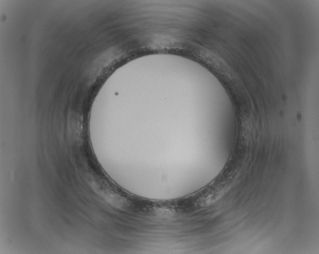 X0000068770592200604281240