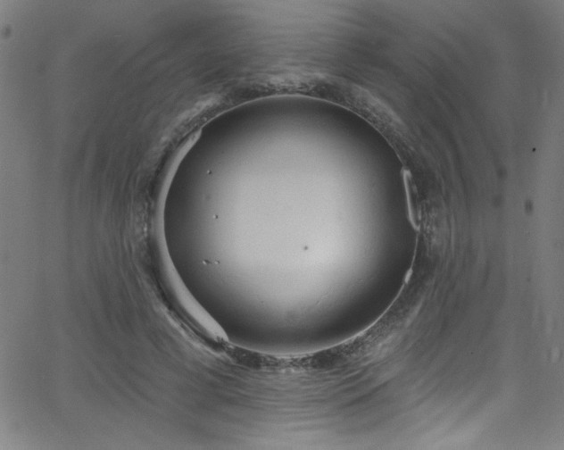 X0000068770593200604281240