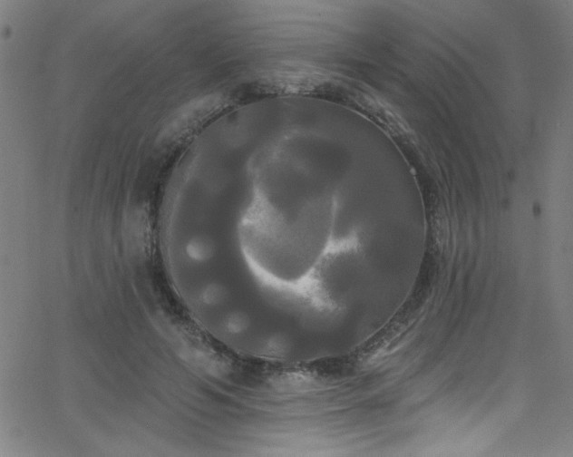 X0000068770594200604281240