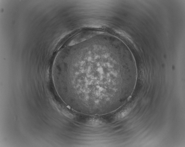 X0000068770596200604281240