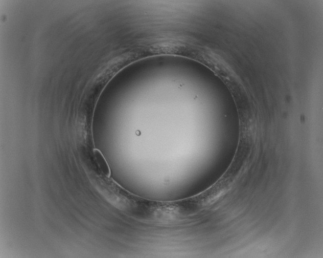 X0000068770599200604281240