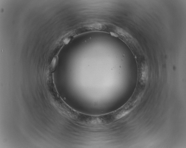 X0000068770600200604281240