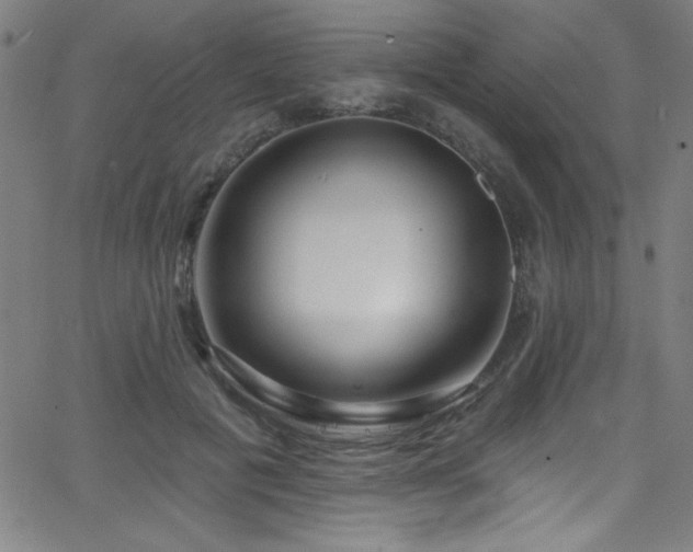 X0000068770601200604281240