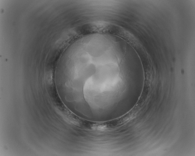 X0000068770602200604281240