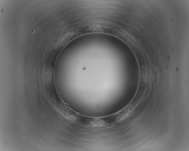 X0000068770603200604281240