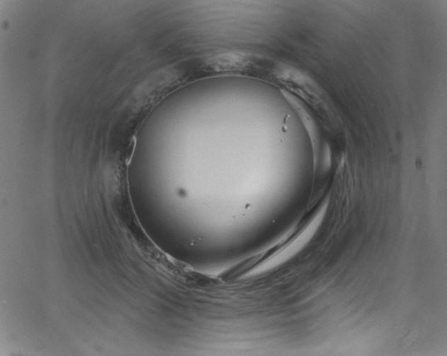 X0000068770604200604281240