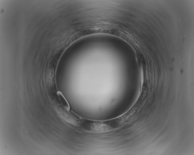 X0000068770605200604281240