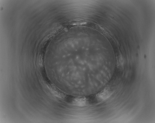 X0000068770606200604281240