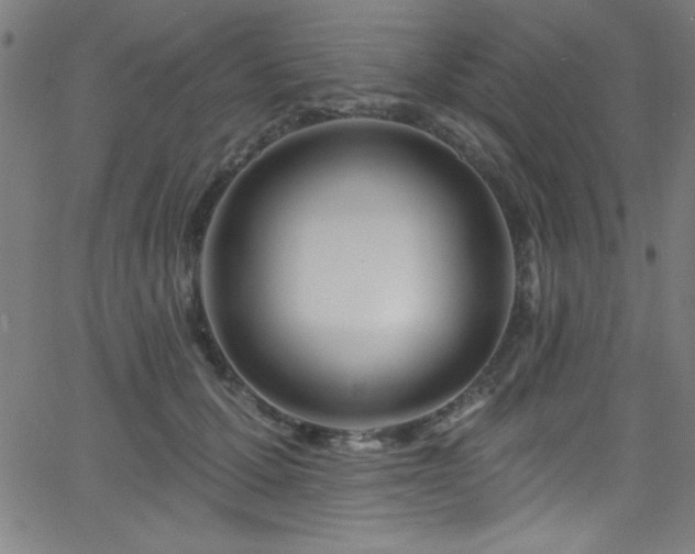 X0000068770607200604281240